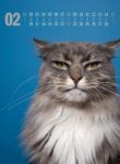 Bild von Catography Kalender 2026