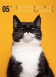 Bild von Catography Kalender 2026