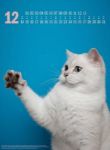 Bild von Catography Kalender 2026