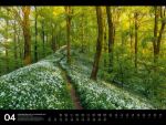 Bild von Naturparadies Deutschland - Signature Kalender 2026