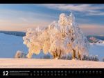 Bild von Naturparadies Deutschland - Signature Kalender 2026