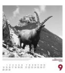 Bild von Alpengeschichten Kalender 2026