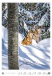 Bild von Natur - Wochenkalender 2026