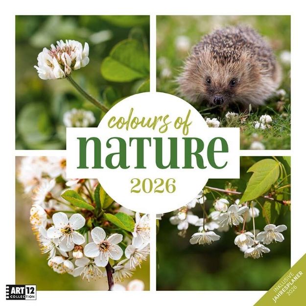 Bild von Colours of Nature Kalender 2026 - 30x30