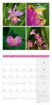 Bild von Colours of Nature Kalender 2026 - 30x30