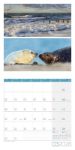 Bild von Colours of Nature Kalender 2026 - 30x30