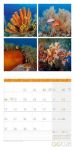 Bild von Colours of Nature Kalender 2026 - 30x30