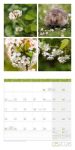 Bild von Colours of Nature Kalender 2026 - 30x30