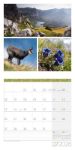 Bild von Colours of Nature Kalender 2026 - 30x30