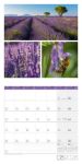 Bild von Colours of Nature Kalender 2026 - 30x30