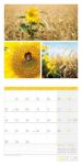 Bild von Colours of Nature Kalender 2026 - 30x30