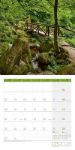 Bild von Traumpfade Kalender 2026 - 30x30