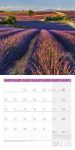 Bild von Traumpfade Kalender 2026 - 30x30