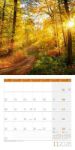 Bild von Traumpfade Kalender 2026 - 30x30