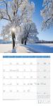 Bild von Traumpfade Kalender 2026 - 30x30