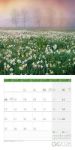Bild von Atempause Kalender 2026 - 30x30