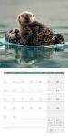 Bild von Otter Kalender 2026 - 30x30