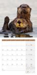 Bild von Otter Kalender 2026 - 30x30