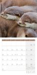 Bild von Otter Kalender 2026 - 30x30