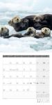 Bild von Otter Kalender 2026 - 30x30