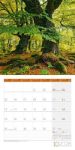 Bild von Naturwunder Deutschland Kalender 2026 - 30x30