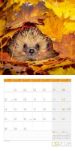 Bild von Igel Kalender 2026 - 30x30