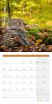 Bild von Igel Kalender 2026 - 30x30