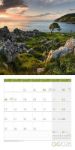 Bild von Magie des Lichts Kalender 2026 - 30x30