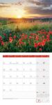 Bild von Magie des Lichts Kalender 2026 - 30x30