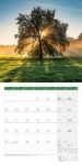 Bild von Magie des Lichts Kalender 2026 - 30x30