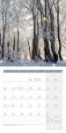 Bild von Zauber des Waldes Kalender 2026 - 30x30