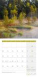 Bild von Zauber des Waldes Kalender 2026 - 30x30