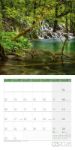 Bild von Zauber des Waldes Kalender 2026 - 30x30