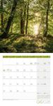 Bild von Zauber des Waldes Kalender 2026 - 30x30