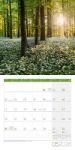 Bild von Zauber des Waldes Kalender 2026 - 30x30