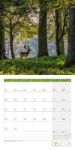Bild von Zauber des Waldes Kalender 2026 - 30x30