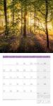 Bild von Zauber des Waldes Kalender 2026 - 30x30