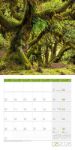 Bild von Zauber des Waldes Kalender 2026 - 30x30