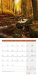 Bild von Zauber des Waldes Kalender 2026 - 30x30