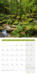 Bild von Zauber des Waldes Kalender 2026 - 30x30