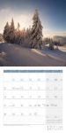 Bild von Zauber des Waldes Kalender 2026 - 30x30