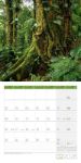 Bild von Bäume Kalender 2026 - 30x30