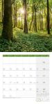 Bild von Bäume Kalender 2026 - 30x30