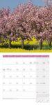 Bild von Bäume Kalender 2026 - 30x30