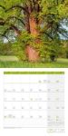Bild von Bäume Kalender 2026 - 30x30