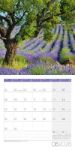 Bild von Bäume Kalender 2026 - 30x30