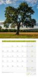 Bild von Bäume Kalender 2026 - 30x30