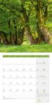 Bild von Bäume Kalender 2026 - 30x30