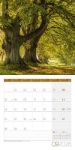 Bild von Bäume Kalender 2026 - 30x30