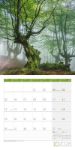 Bild von Bäume Kalender 2026 - 30x30